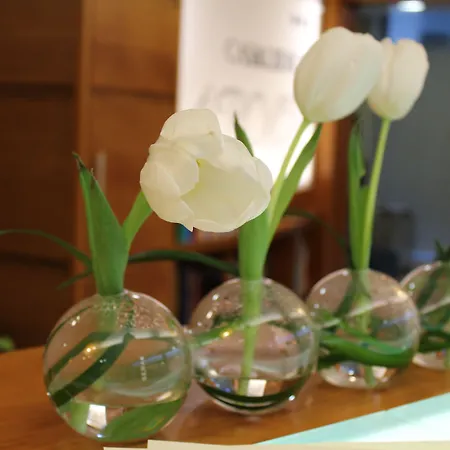 Casaalbergo La Rocca Hotel 4*